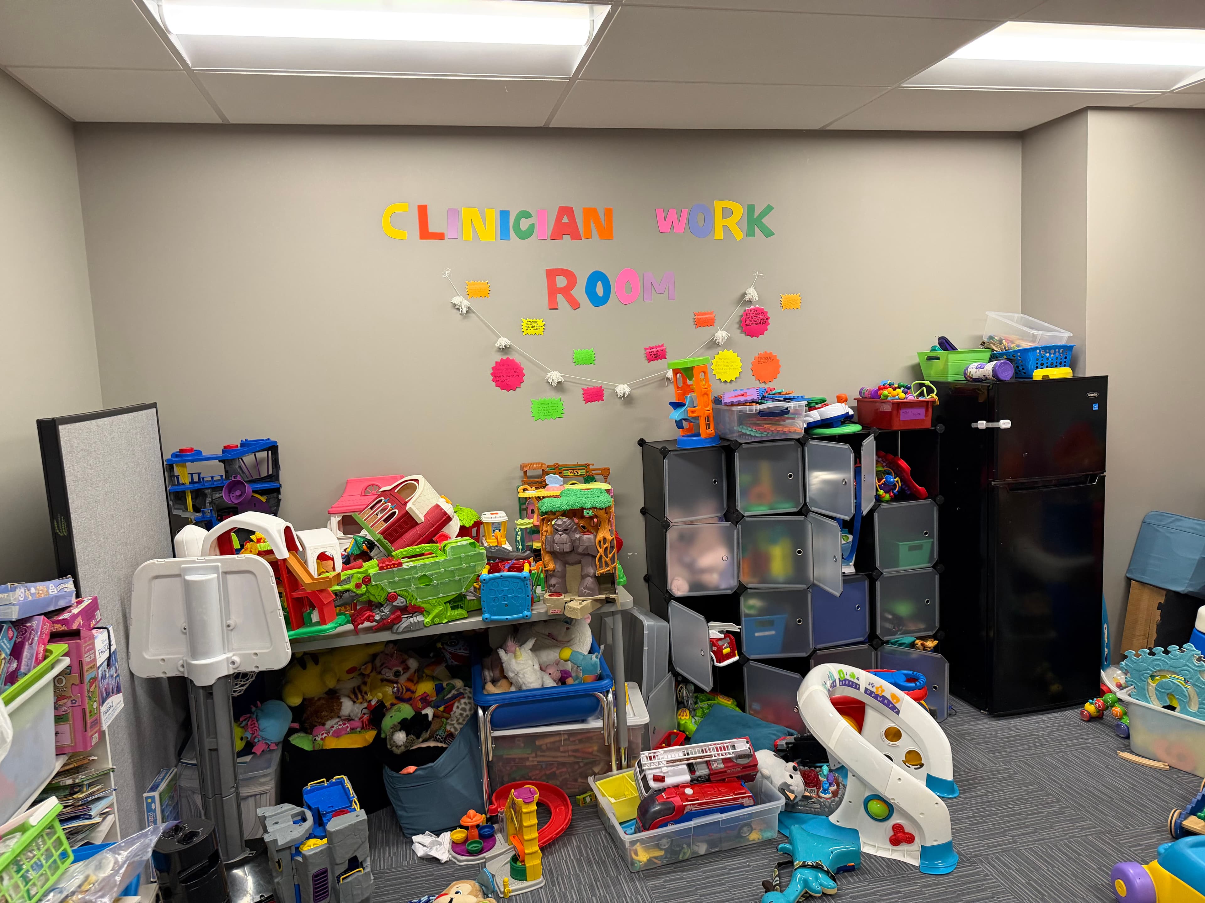 Project Transforming the Clinician Work Room with Expert Shelving Installation image